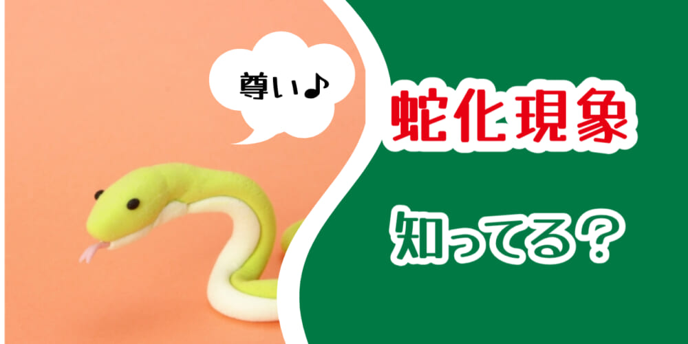 蛇化現象が婚活に適さない理由とは？【蛇化現象についても解説】